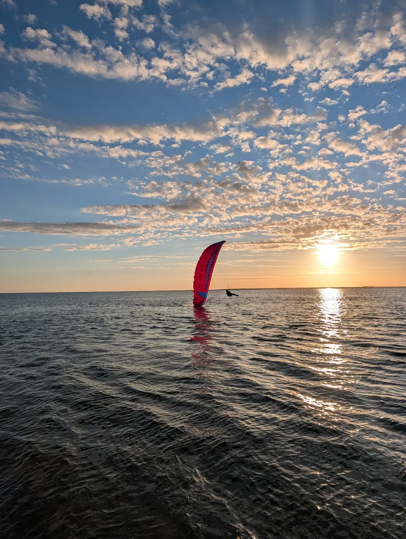 Roter Parakite im Abendlicht über dem Wasser